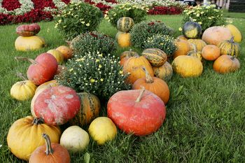 Obvestilo o zaprtju Javnega razpisa v podporo ohranjanju in spodbujanju razvoja kmetijstva in podeželja v občini Vojnik za leto 2022 - PODUKREP 1.1.: Posodabljanje kmetijskih gospodarstev - Nakup nove kmetijske mehanizacije 
