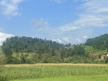 Neurje z močnim vetrom in poplavami v občini Vojnik, 20. julij 2023, v fotografiji