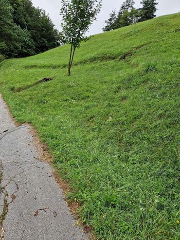 Poročilo s terena – stanje po močnem dežju in poplavah, 6. avgust 2023