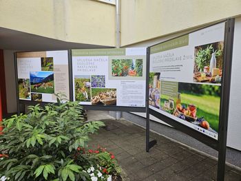 Razstava o Ekološkem kmetijstvu: pot k trajnostnemu razvoju Občine Vojnik