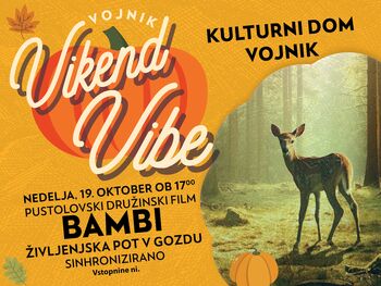 Festival Rad te imam – Vojnik – Vikend Vibe! Družinska kino matineja