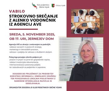 Strokovno srečanje z Alenko Vodončnik iz Agencij AVE