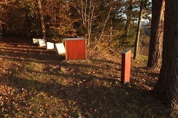 Zaključena vzdrževalna dela na gozdni učni poti Modrijanov