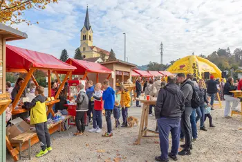 Festival Rad te imam – Vojnik – Vikend – Vibe! Okrogla miza o finančni pismenosti za osnovnošolce