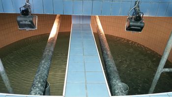 Naravoslovni dan v 4. razredu