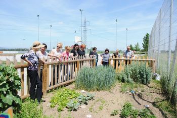 Šolski vrt v Cirkovcah Šolski vrt v Cirkovcah