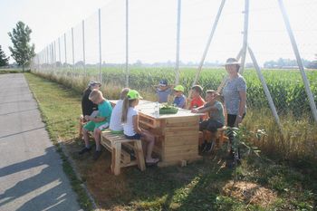 Šolski vrt v OŠ Cirkovce Šolski vrt v OŠ Cirkovce