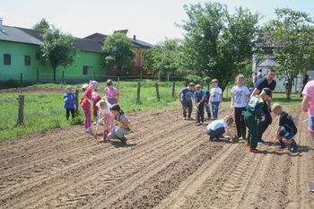 Sadili smo buče Sadili smo buče