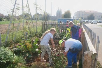 Sev jeseni – OŠ Cirkovce