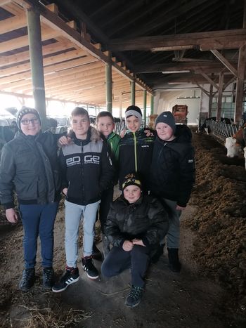 Lanski vrtnarji so si ogledali delovanje robota v hlevu