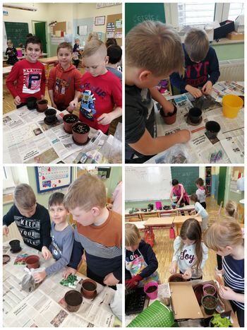 Vrtnarski krožek v OŠ Cirkovce