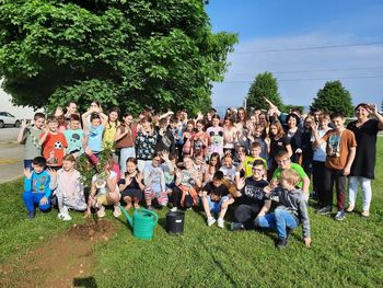 Sadili smo zlato jabolko – drevo kaki 