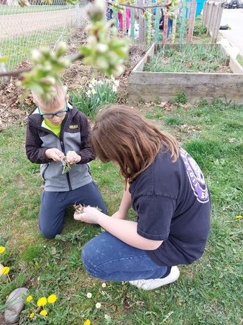 Iz rok v usta – učimo se trajnostno, poudarjamo samooskrbo