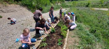 Zeliščni vrt in čutna pot v gramoznici 