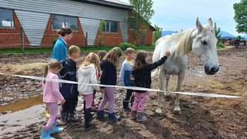 Šola v naravi v Starošincah