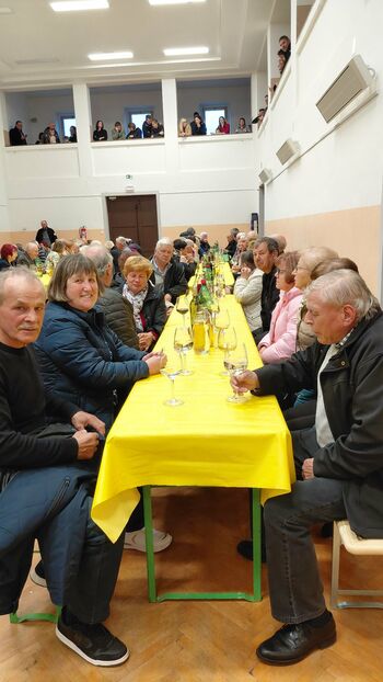 Občni zbor Društva upokojencev Kostanjevica na Krasu Občni zbor Društva upokojencev Kostanjevica na Krasu