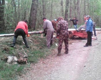 Čistilna akcija in postavitev mlaja, Lipa na Krasu