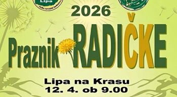 Praznik radičke, Lipa na Krasu