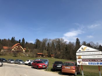 Čebele združujejo in povezujejo