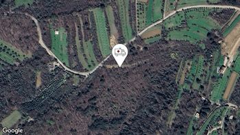 Vetrolom 24. 6. 2024 12.35