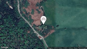 Pogini rib brez jasnega vzroka 2. 7. 2024 19.38