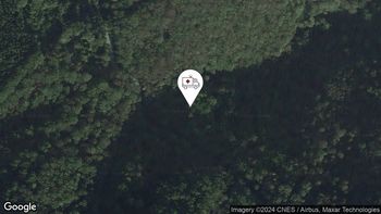 Nesreče v cestnem prometu 5. 7. 2024 16.41