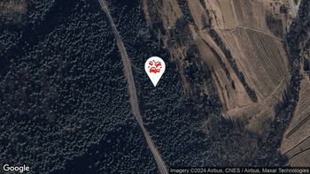 Nesreče v cestnem prometu 13. 7. 2024 13.08