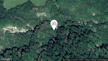 Pogrešane osebe 29. 7. 2024 15.42 Pogrešane osebe 29. 7. 2024 15.42