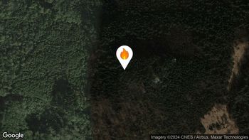 Požari v naravi oziroma na prostem 30. 7. 2024 10.48