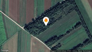 Požari v naravi oziroma na prostem 31. 7. 2024 20.25