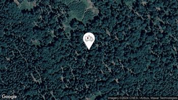 Nesreče pri nešportnih aktivnostih (gobarjenje, ...) 7. 8. 2024 11.02