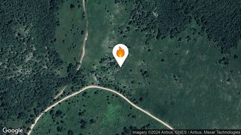 Požari v naravi oziroma na prostem 8. 8. 2024 13.41