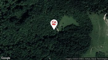 Nesreče v cestnem prometu 15. 8. 2024 11.43