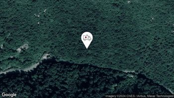 Nesreče v cestnem prometu 15. 8. 2024 16.01