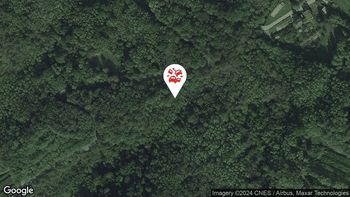 Nesreče v cestnem prometu 26. 8. 2024 0.38