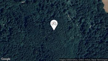 Pogrešane osebe 11. 10. 2024 16.46