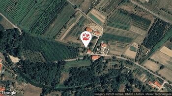 Nesreče v cestnem prometu 28. 2. 2026 11.06