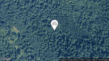 Delovne nesreče 7. 3. 2026 14.13