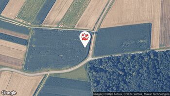 Nesreče v cestnem prometu 13. 3. 2026 15.20