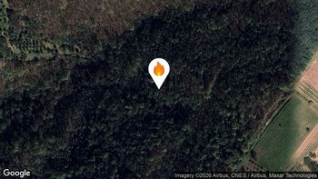 Požari v naravi oziroma na prostem 19. 3. 2026 13.12