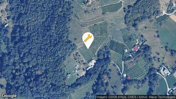 Tehnična in druga pomoč 21. 3. 2026 14.35