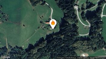 Požari na gozdnih in grmovnih površinah 28. 3. 2026 8.54