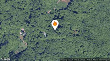 Požari na gozdnih in grmovnih površinah 31. 3. 2026 21.06