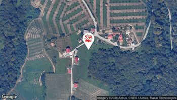 Nesreče v cestnem prometu 7. 4. 2026 15.56