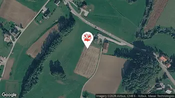 Nesreče v cestnem prometu 12. 5. 2026 14.43
