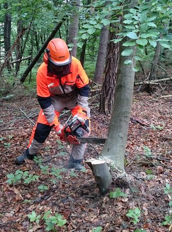 Tečaj za varno delo v gozdu 