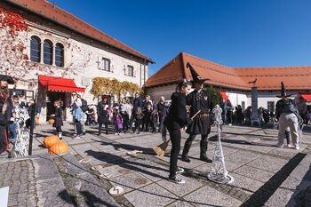 Noč čarovnic za otroke 2025: Čarovniška akademija - Grajska coprnija