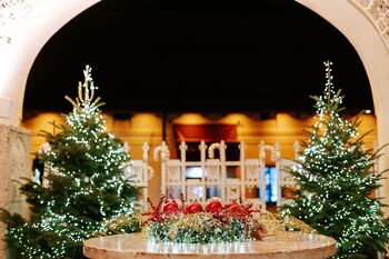 Ta veseli dan kulture