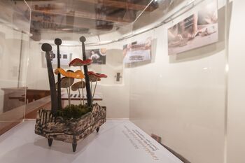 Vabljeni na grad na ogled prazničnih vsebin Vabljeni na grad na ogled prazničnih vsebin