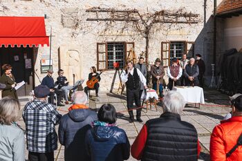 Tradicionalna rez grajske trte
